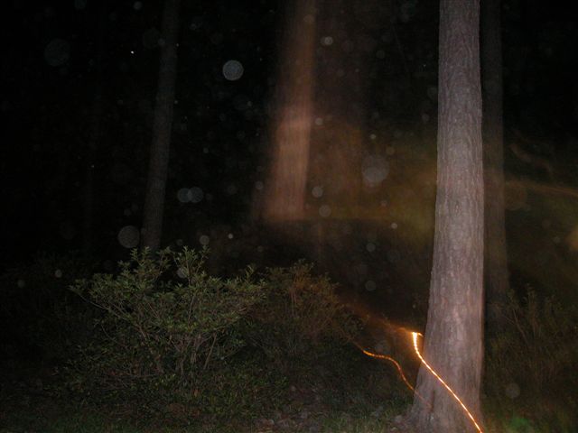 52503.jpg